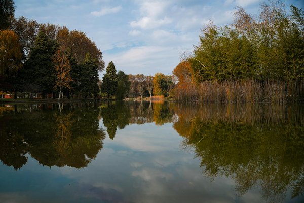 Guide pratique pour l'achat d'orthèse en ligne